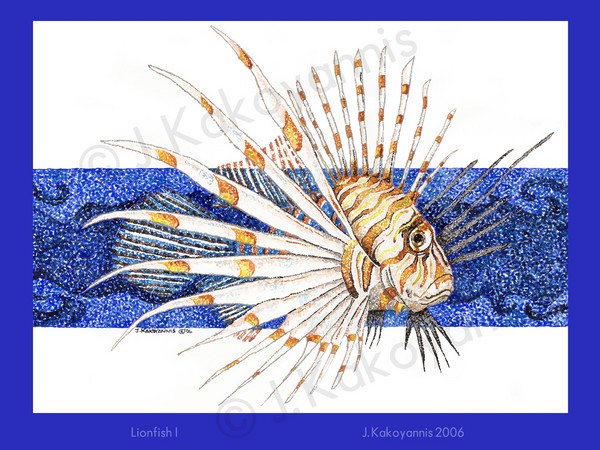 Lionfish I