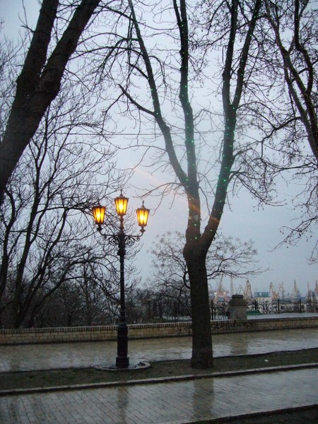 My Odessa Rainy