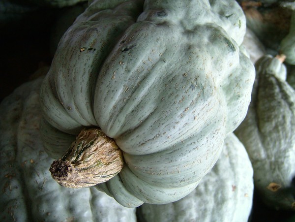 Ghoulie Gourds
