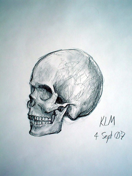 Skull 2