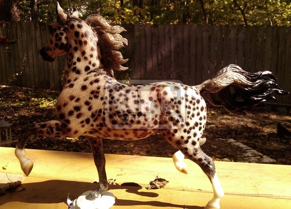 Etched Appaloosa Huck Bey Breyer horse