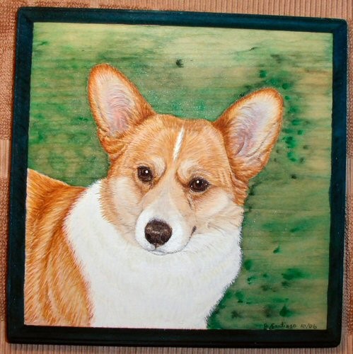 Pembroke Welsh Corgi ~1