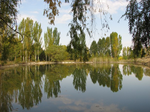 A lake in Dzoraghbyur reserve