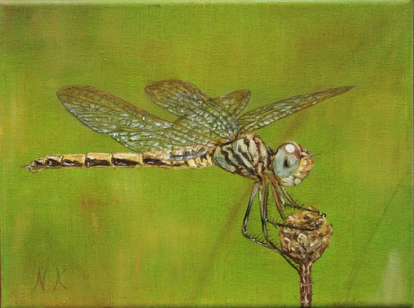 Dragonfly