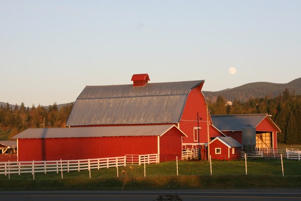 Just a Red Barn