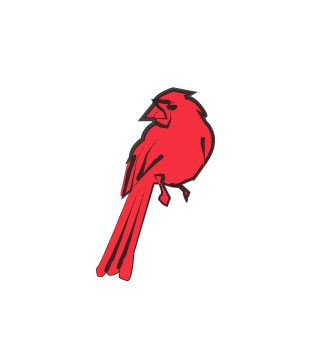 cardinal-image-12(1)