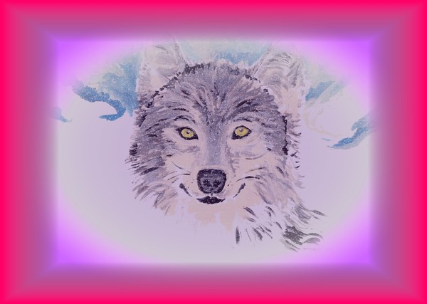 Wolf with beautiful bright fuchsia frame.