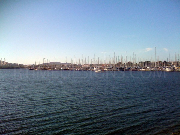 marina sailboat harbor