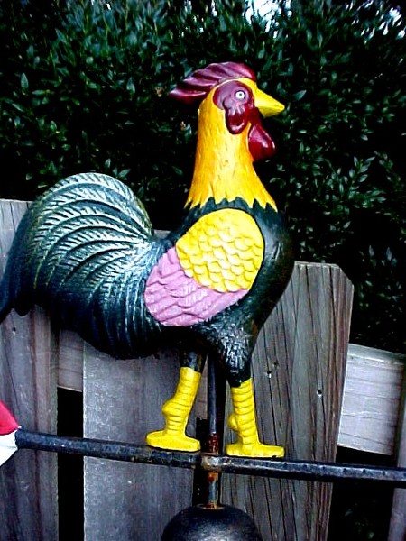 Lost Rooster