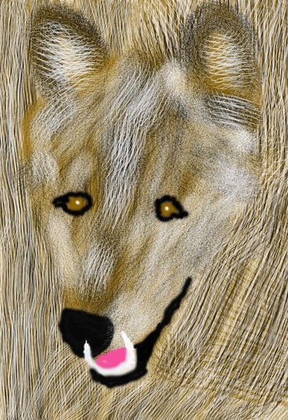 O326 Wolf Portrait