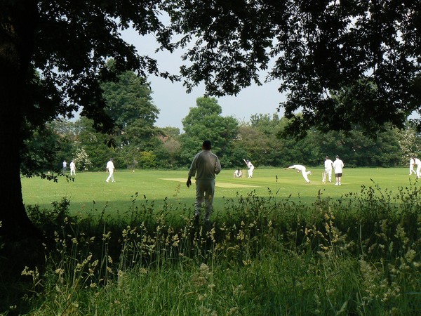 Cricket  Stoke Lodge.