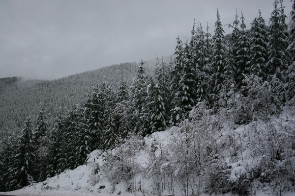 Nothing Like Fresh Powder Snow :)