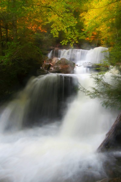 Misty Fall