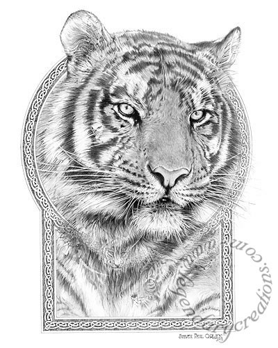 Panthera Leo-Tiger, Monarch of the Animal Kingdom