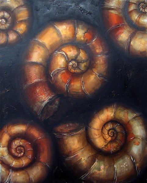 Ammonites on Black