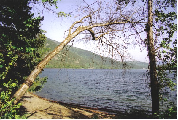 adams lake