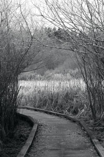 b&w the path to ?????