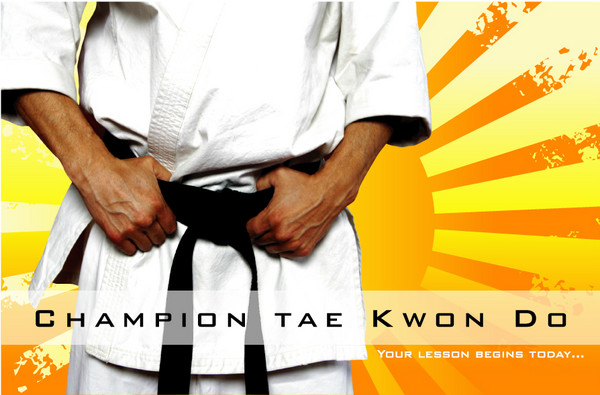 Champion Tae Kwon Do Poster