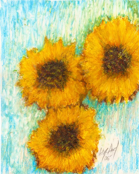 Sunflowers 2008: Part II