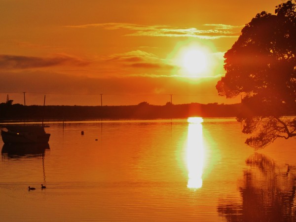 this woke me up ! sunrise waihi beach nz