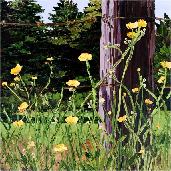 Buttercups by the Fence Post