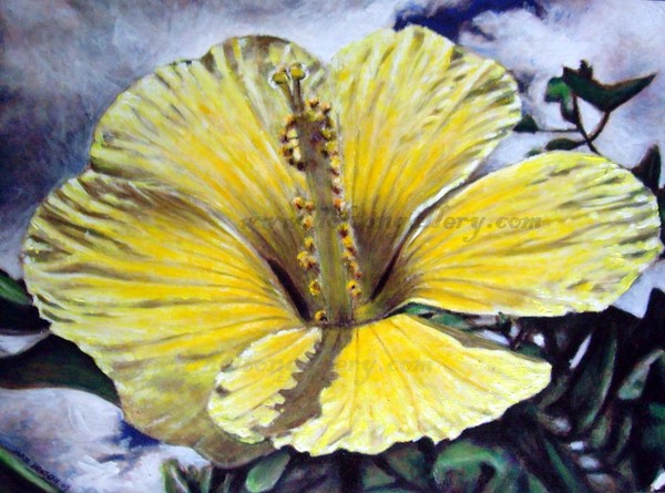 Hawai'ian Hibiscus