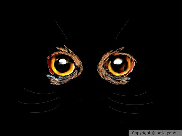 cat's eyes