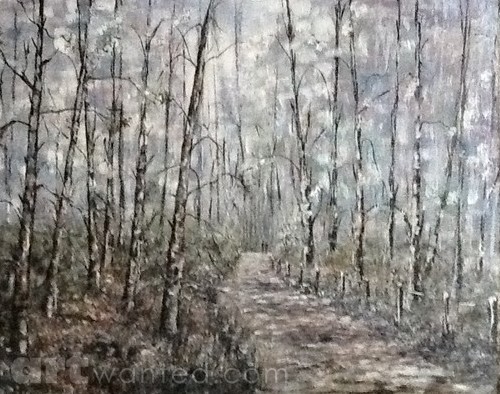 Birch Walk