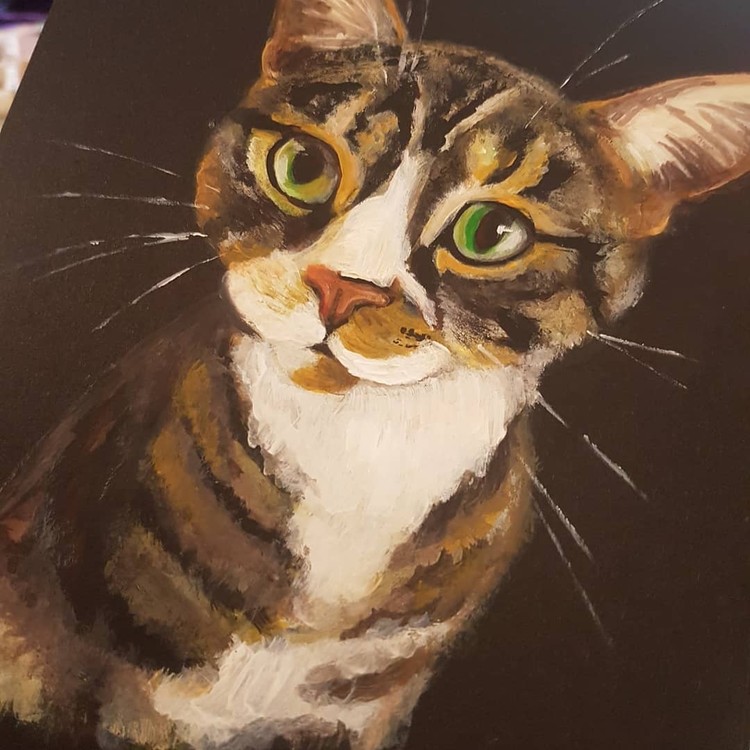 paint sketch of tabby cat