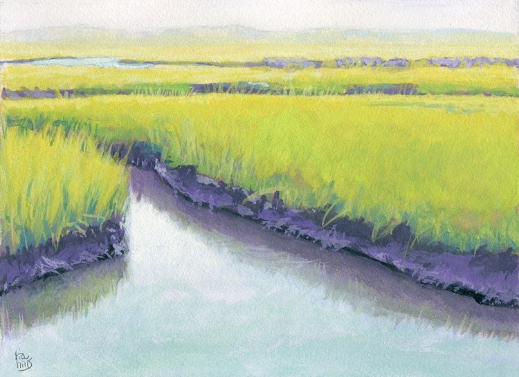 Cape Cod Marsh