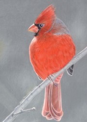 Big Red Limited Edition ACEO Prints