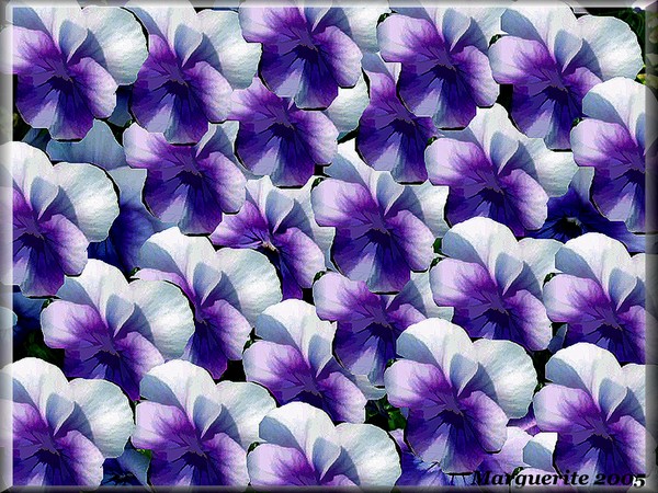 Pansies in Fabric