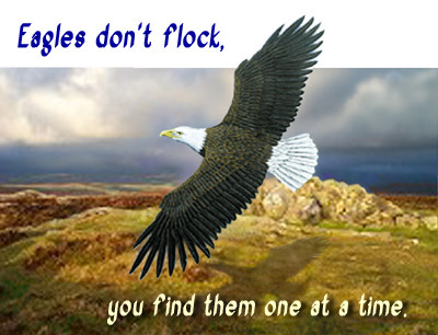 Eagles Don't Flock