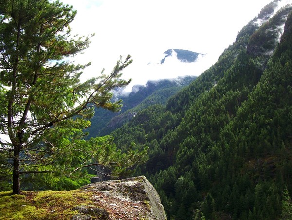 Cascade Viewpoint