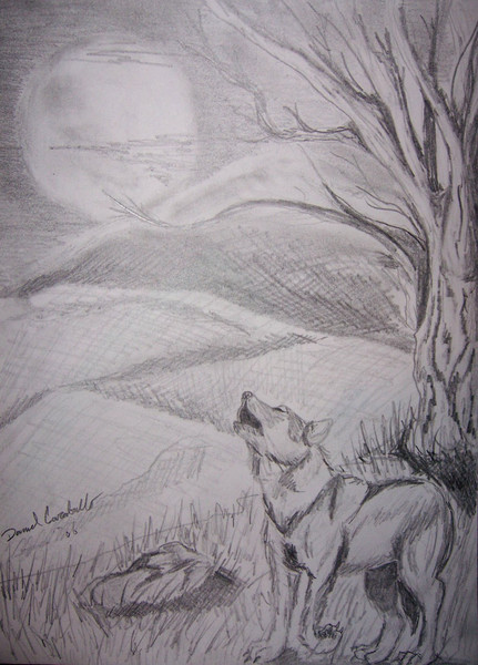 Wolf Cry (Pencil)
