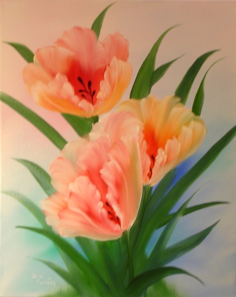 Tulips #801