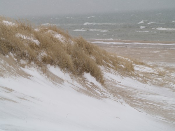 Winter Windswept Beach