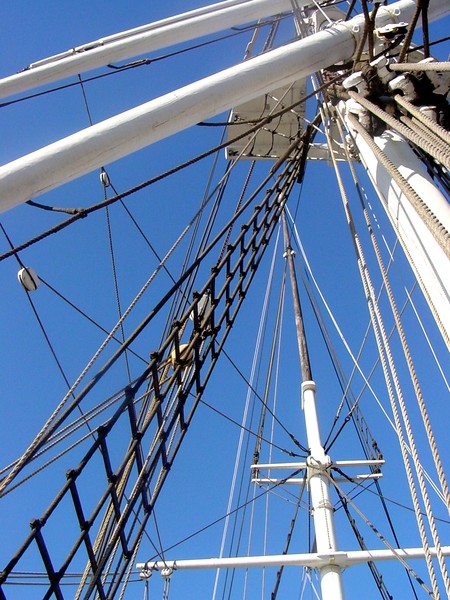 Mystic Masts