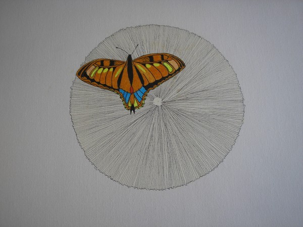 butterfly on eyeball (unfinished)