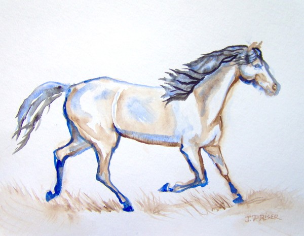 blue and brown horse