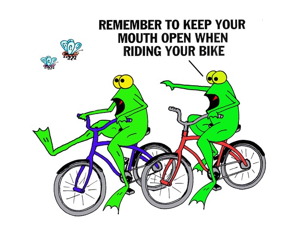 bike riding frogs