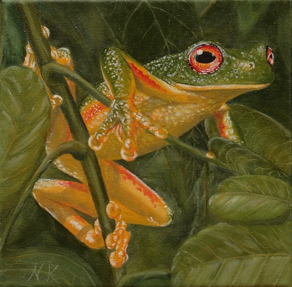 Red-frog