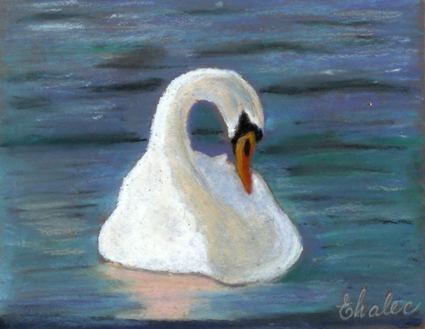 swan