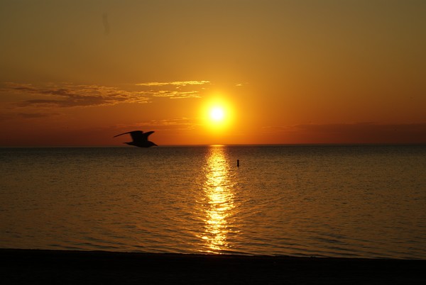 Sunrise Over Lake Ontario 2