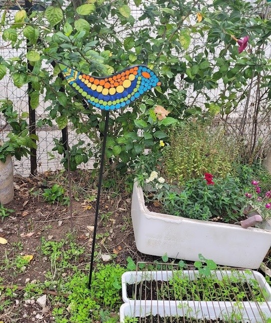 Mosaic Bird in my garden, 2022