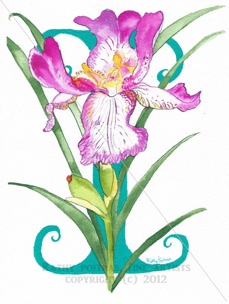 Letter I for Iris Flower