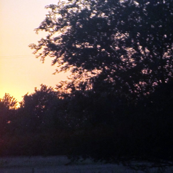 Western Sunset