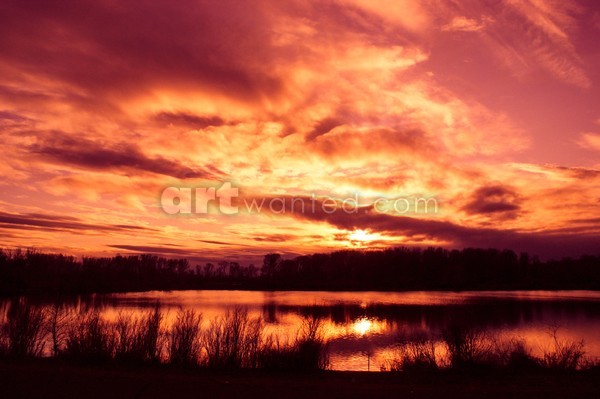 Washington Skies