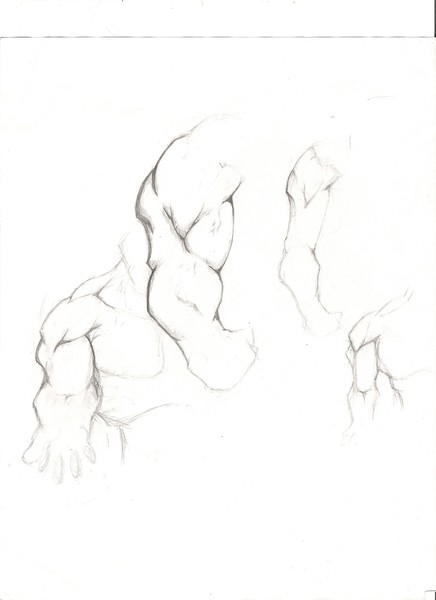 arm study