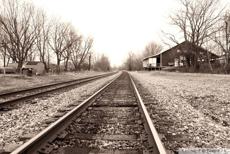 Sepia RR Maryland